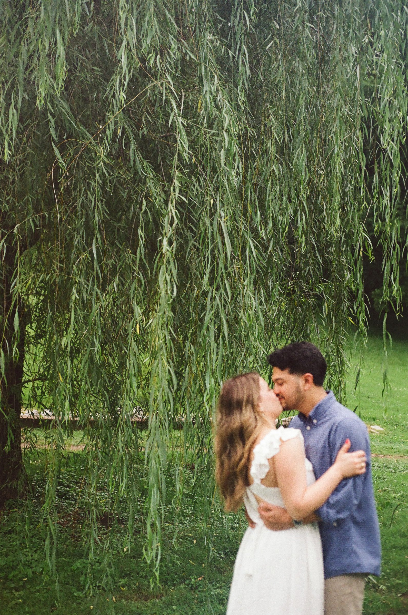 Film photograph 4 by Rainey Photo Co.